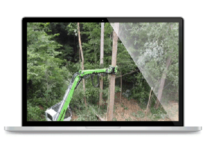 Senne_gif Senne_gif